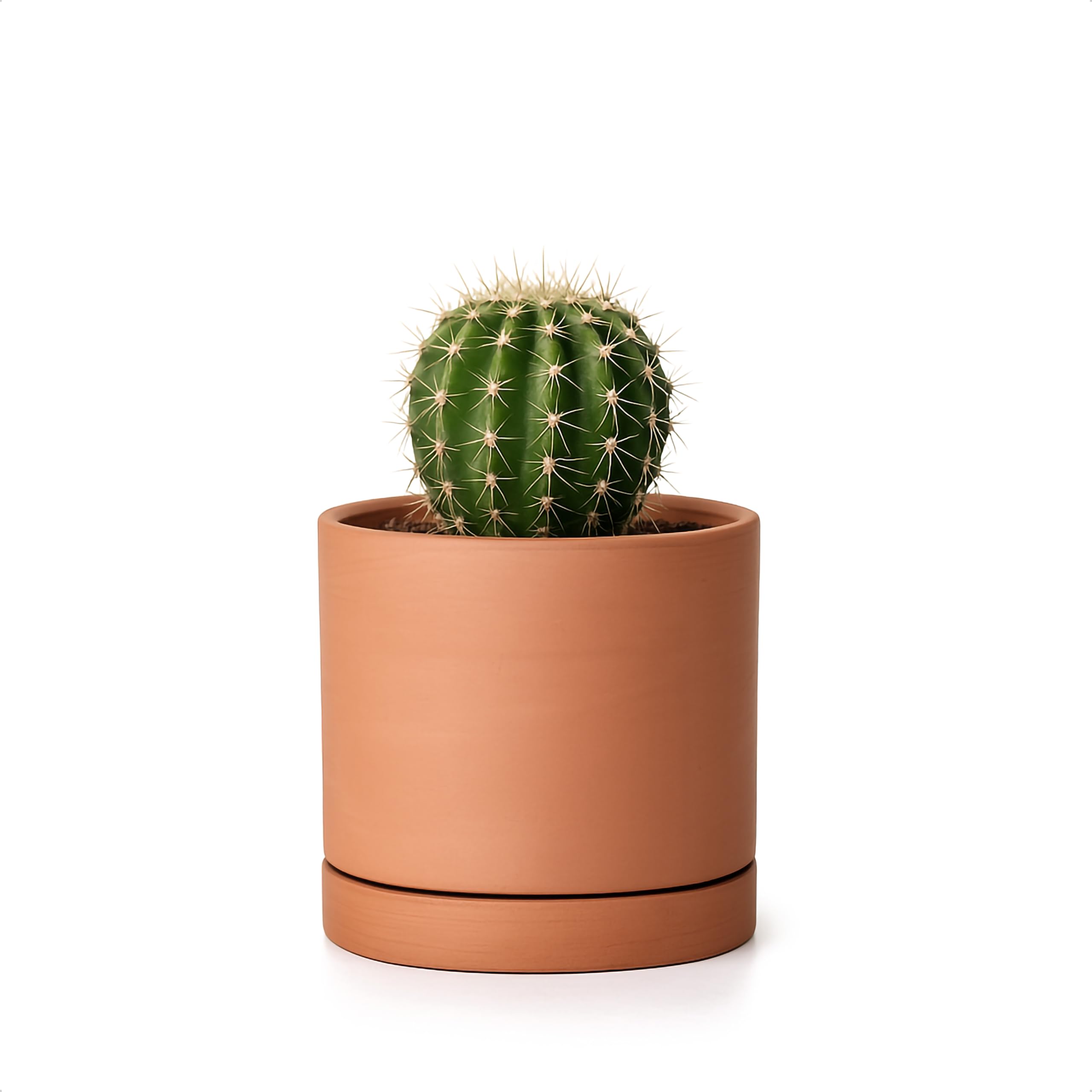 Amazon.com : D'vine Dev X-Small 4 Inch Terracotta Plant Pot with